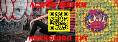 тгк Новозыбков