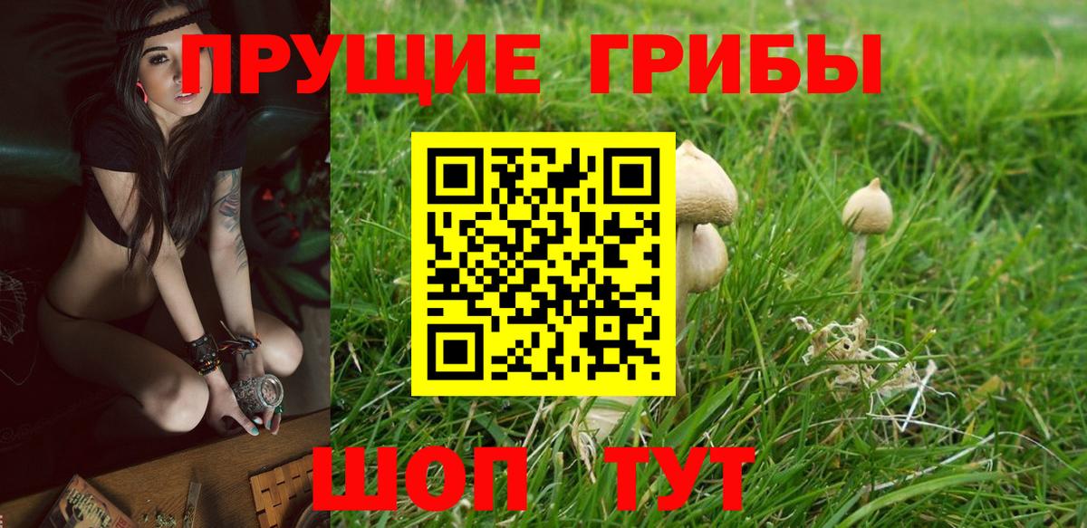 Псилоцибиновые грибы мицелий  Псилоцибиновые грибы мухоморы  Вход с VPN  Усолье-Сибирское 